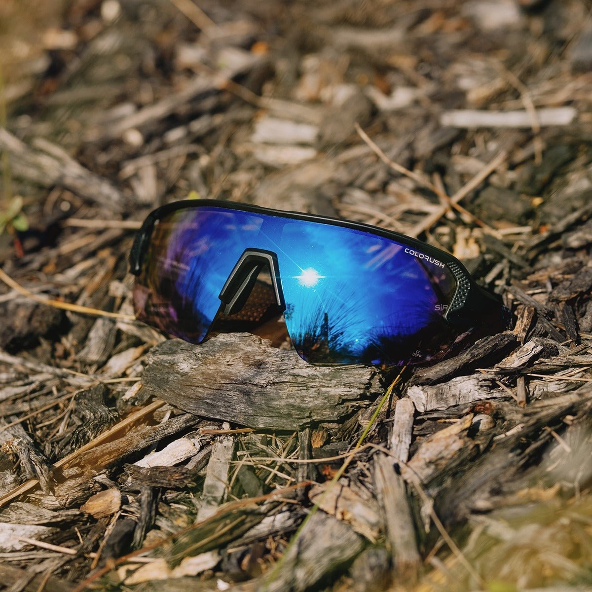 APEXELITEPRODUCT-32_1-2