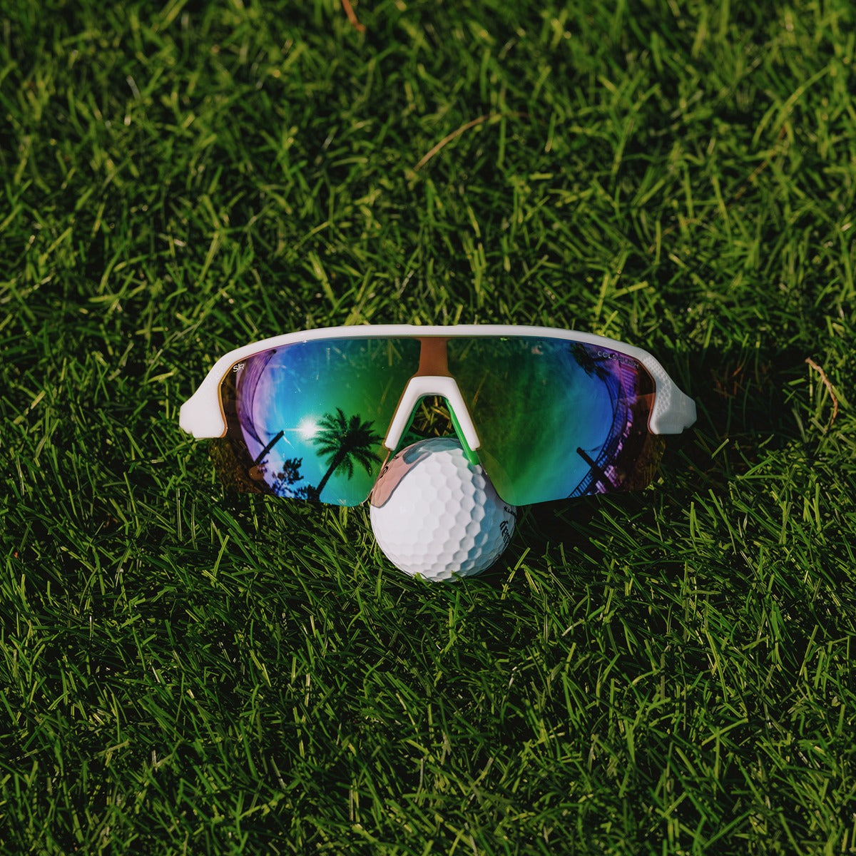 APEXELITEPRODUCT-58_1-4