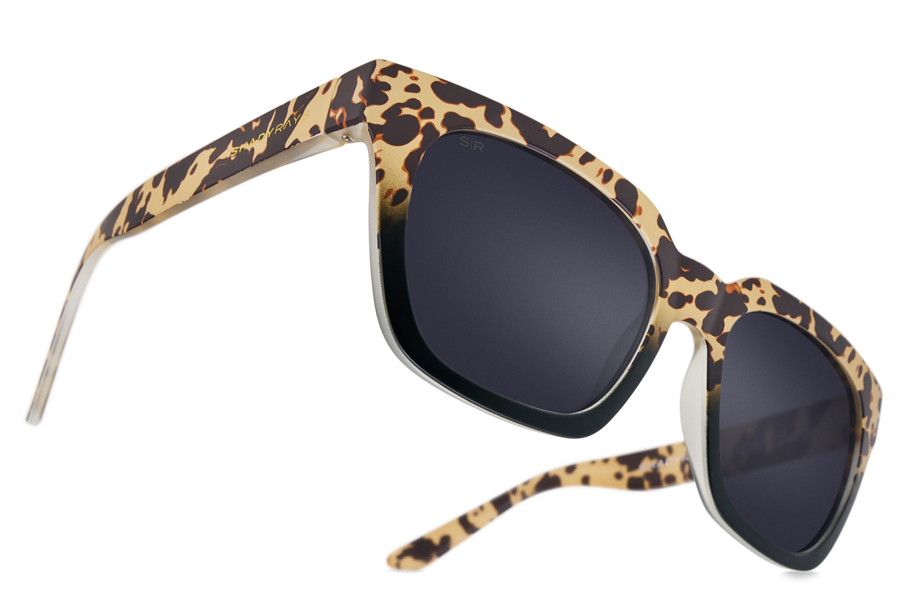 PhotoApr012025_35547PM-22