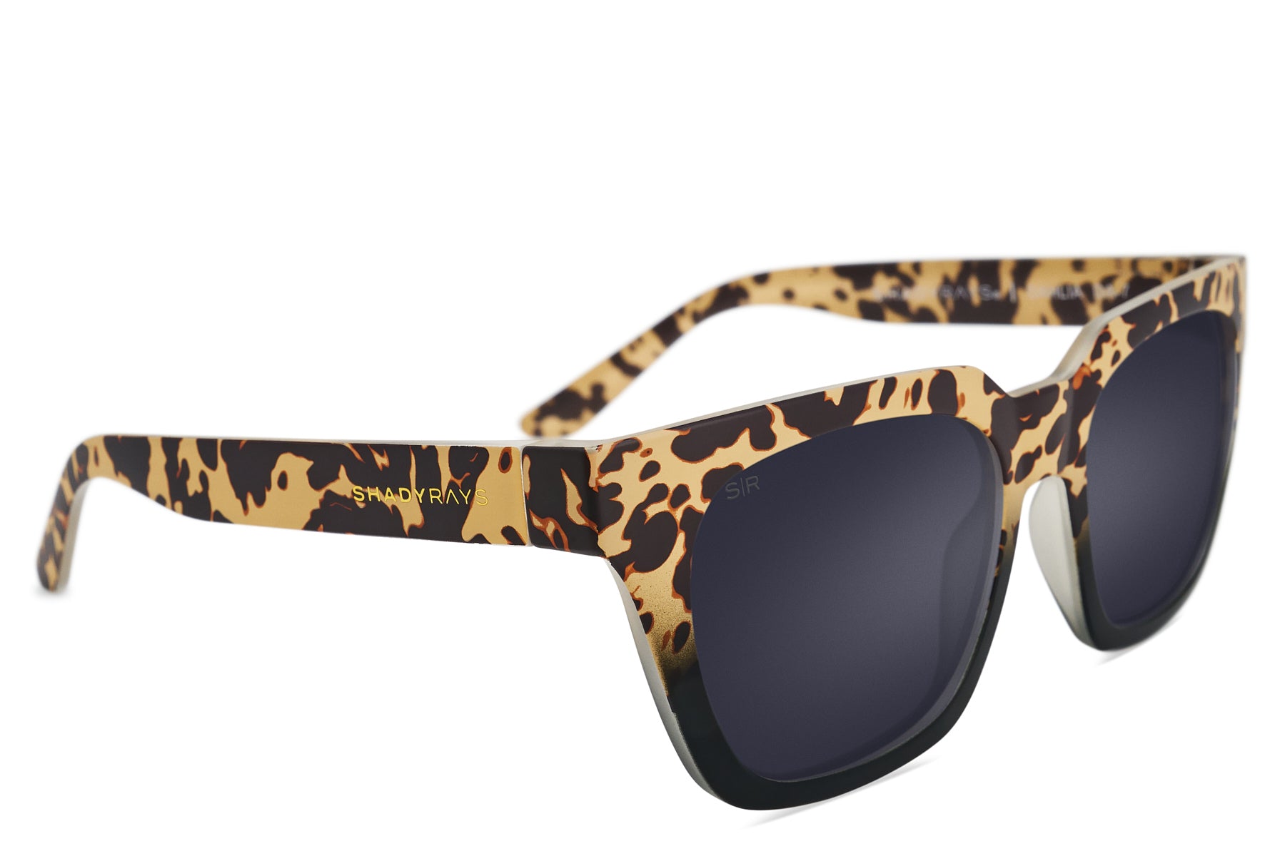 PhotoMar312025_11724PM-31