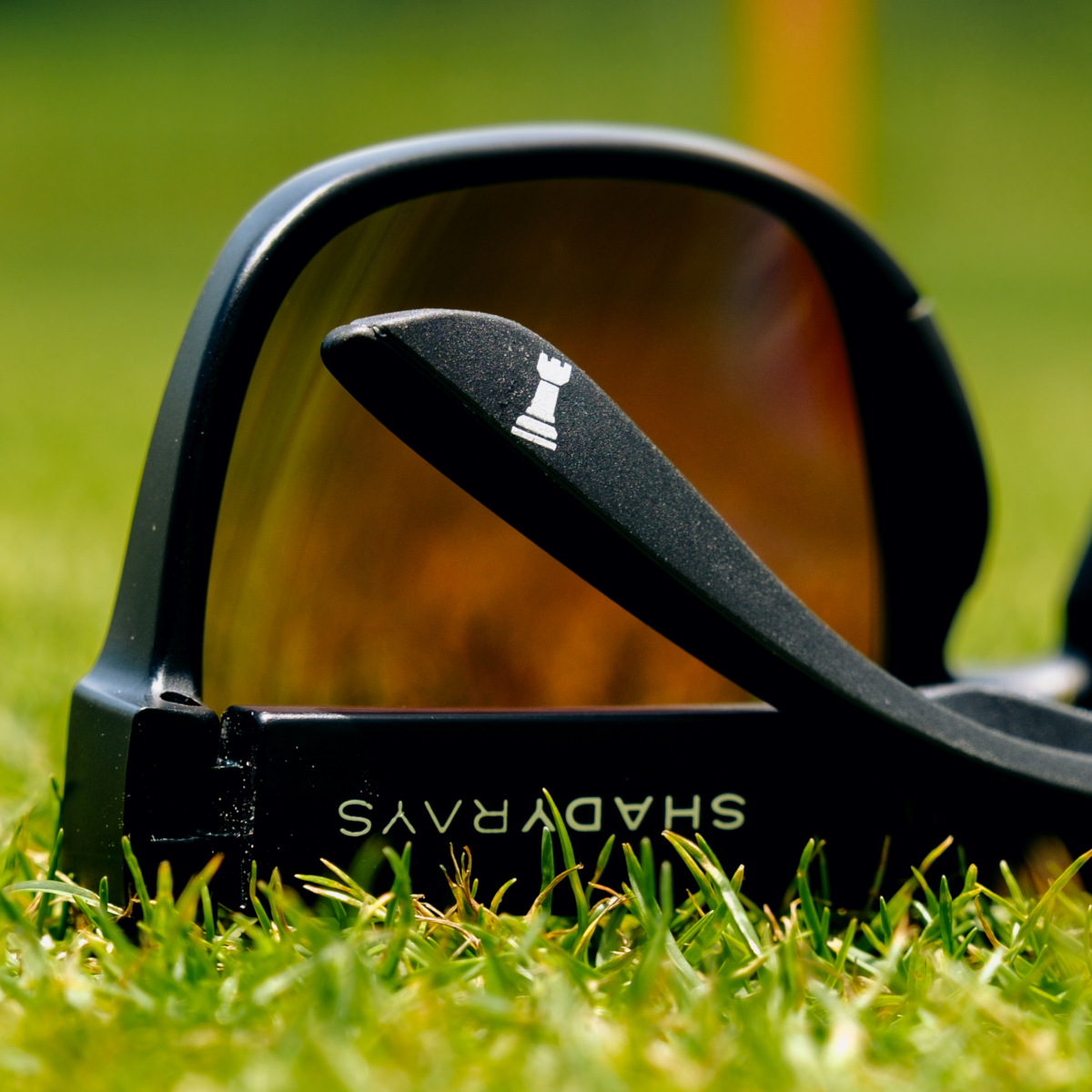 SHADYRAYSUPSIDEDOWN-8-1