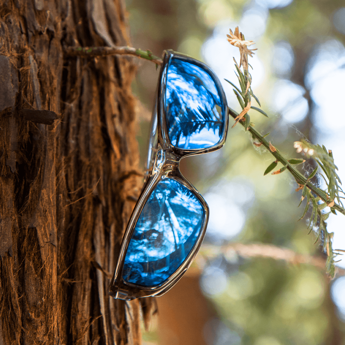 XSeriesColorwayAds1200x1200_4-16