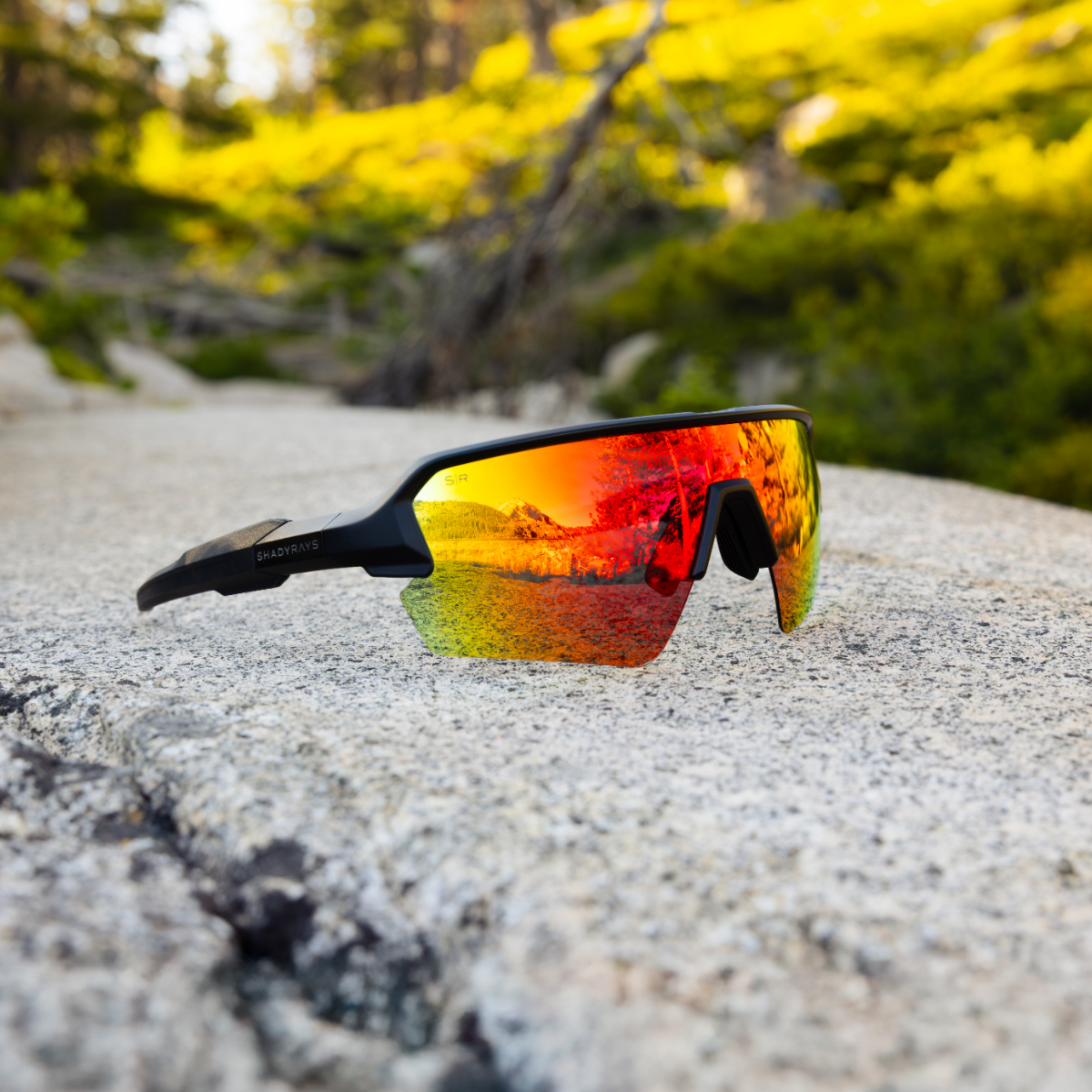 image-1200x1200_6_b8c216d6-60d5-47d6-8563-1082a0760d0d-1