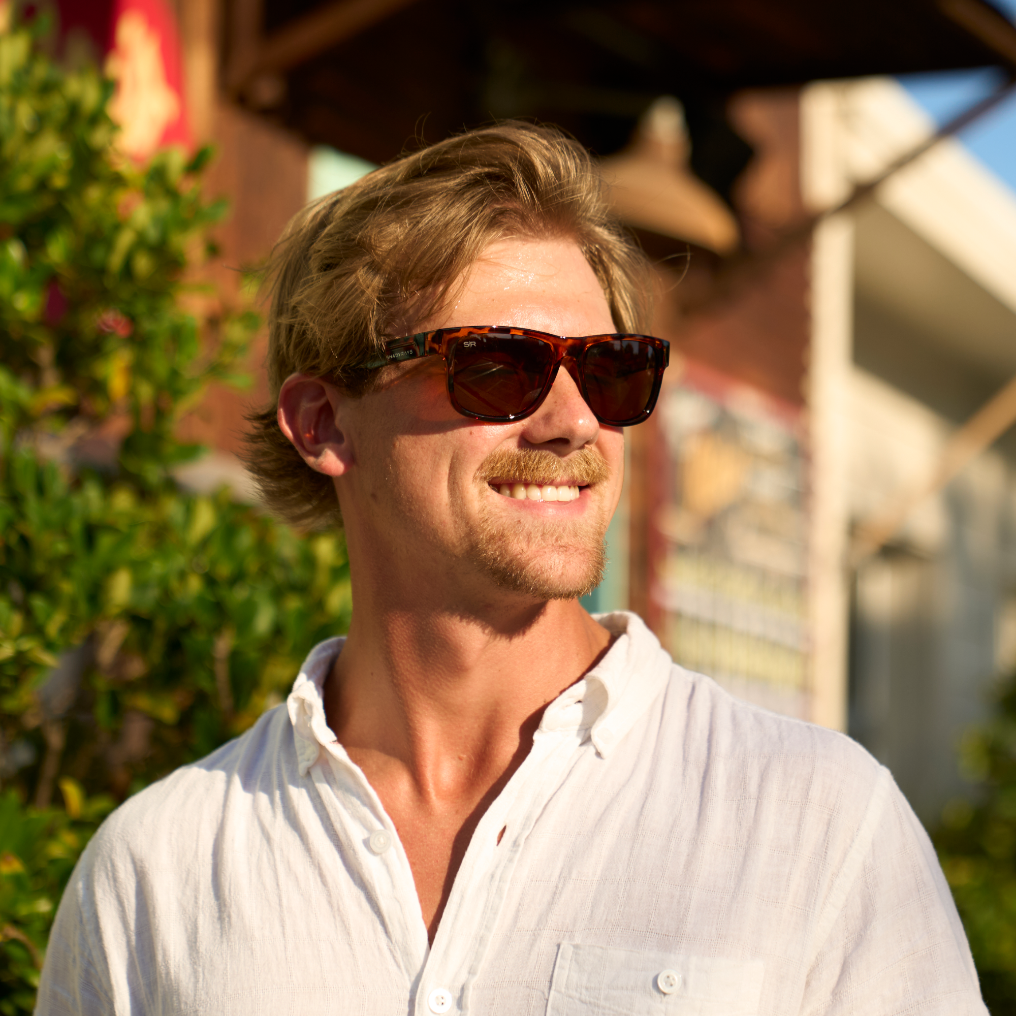 image-2000x2000MojaveTort-12